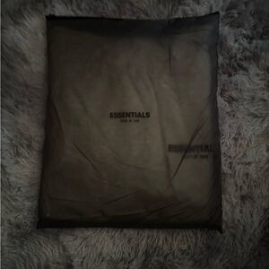 Essentials Hoodie in Light Gray